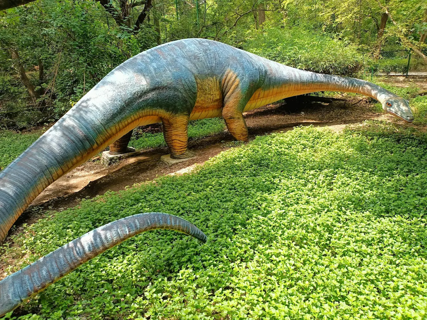 Allen Forest Zoo, Kanpur